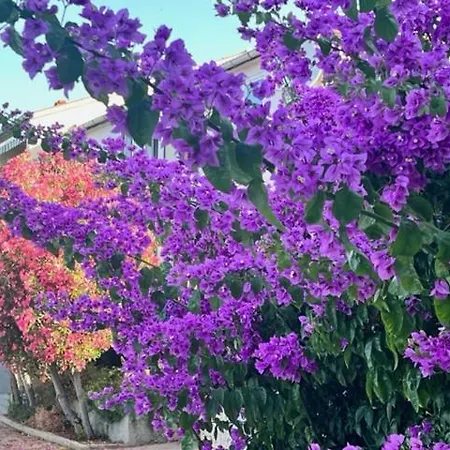 Luxury House Villa Mandre