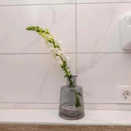 Luxury House Вилла
