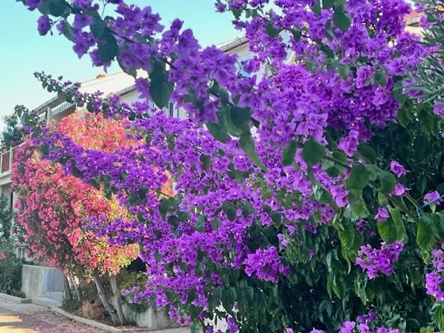 Luxury House Villa Mandre